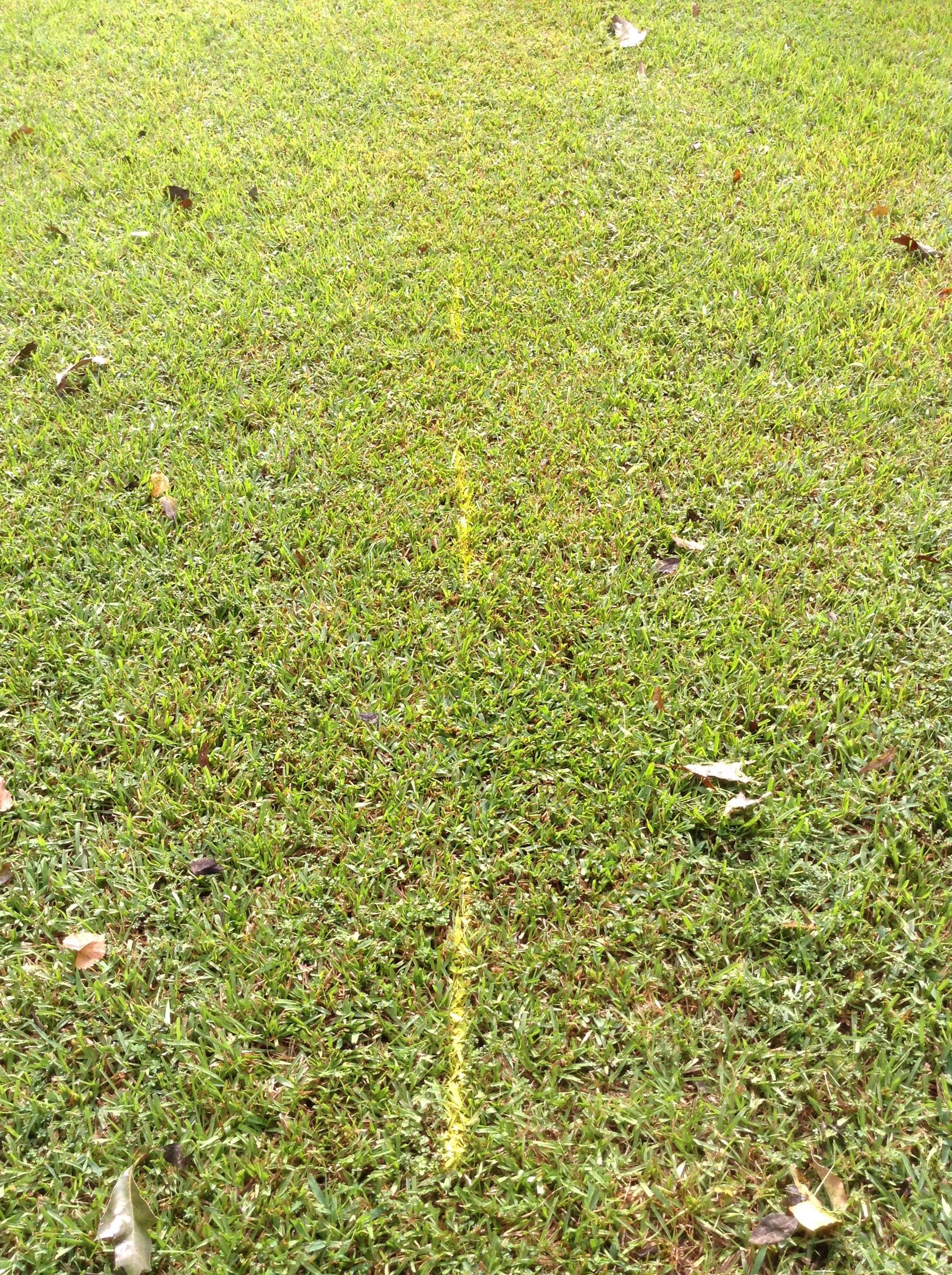 Install an Underground Fence 4 Steps Instructables