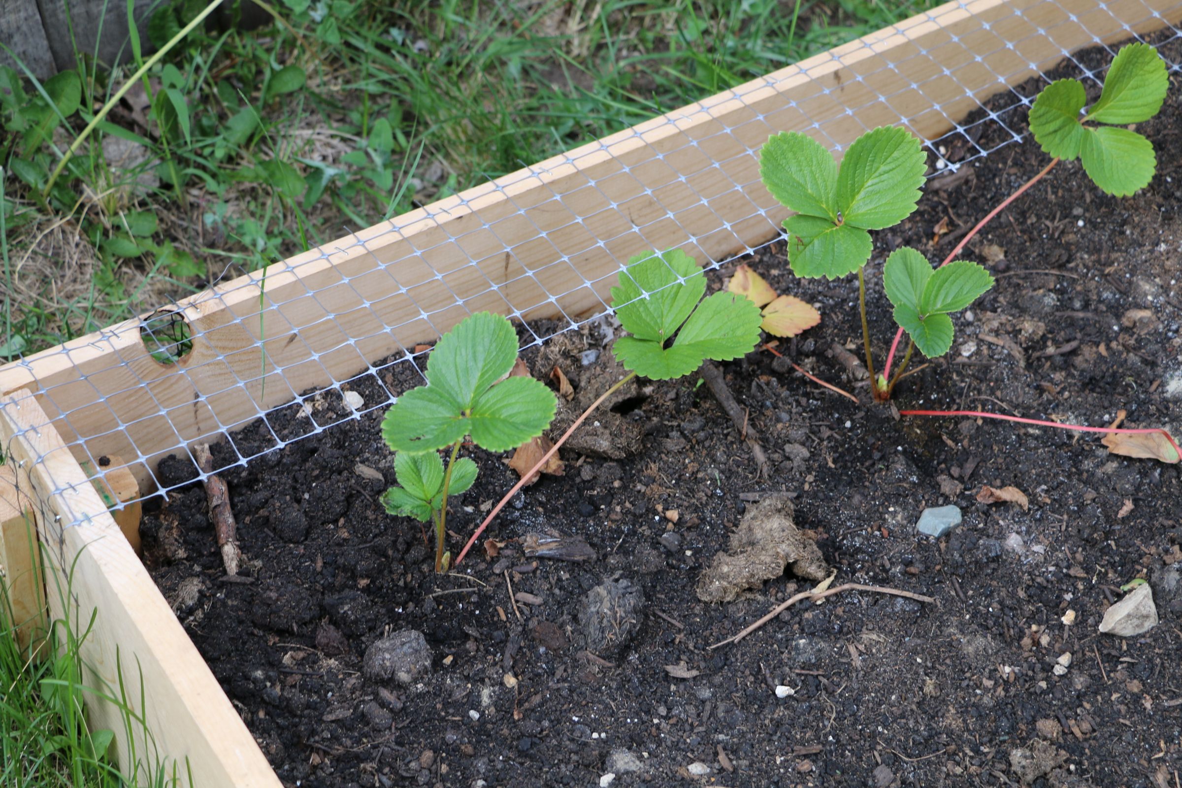 How to Make a Raised Garden Bed Cover With Hinges 5 Steps (with