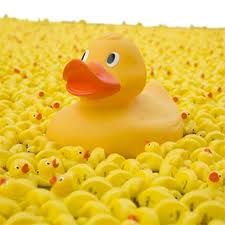 daisyalan