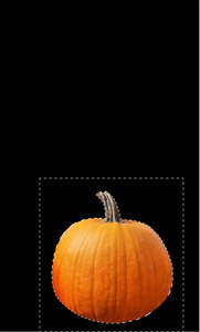 Start Pumpkin!