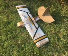 Cardboard Sailplane