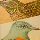 Transfer PHOTOS to METAL