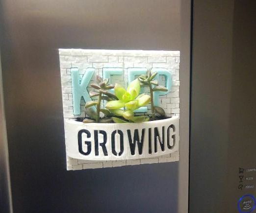 3D Magnetic Plant Vase