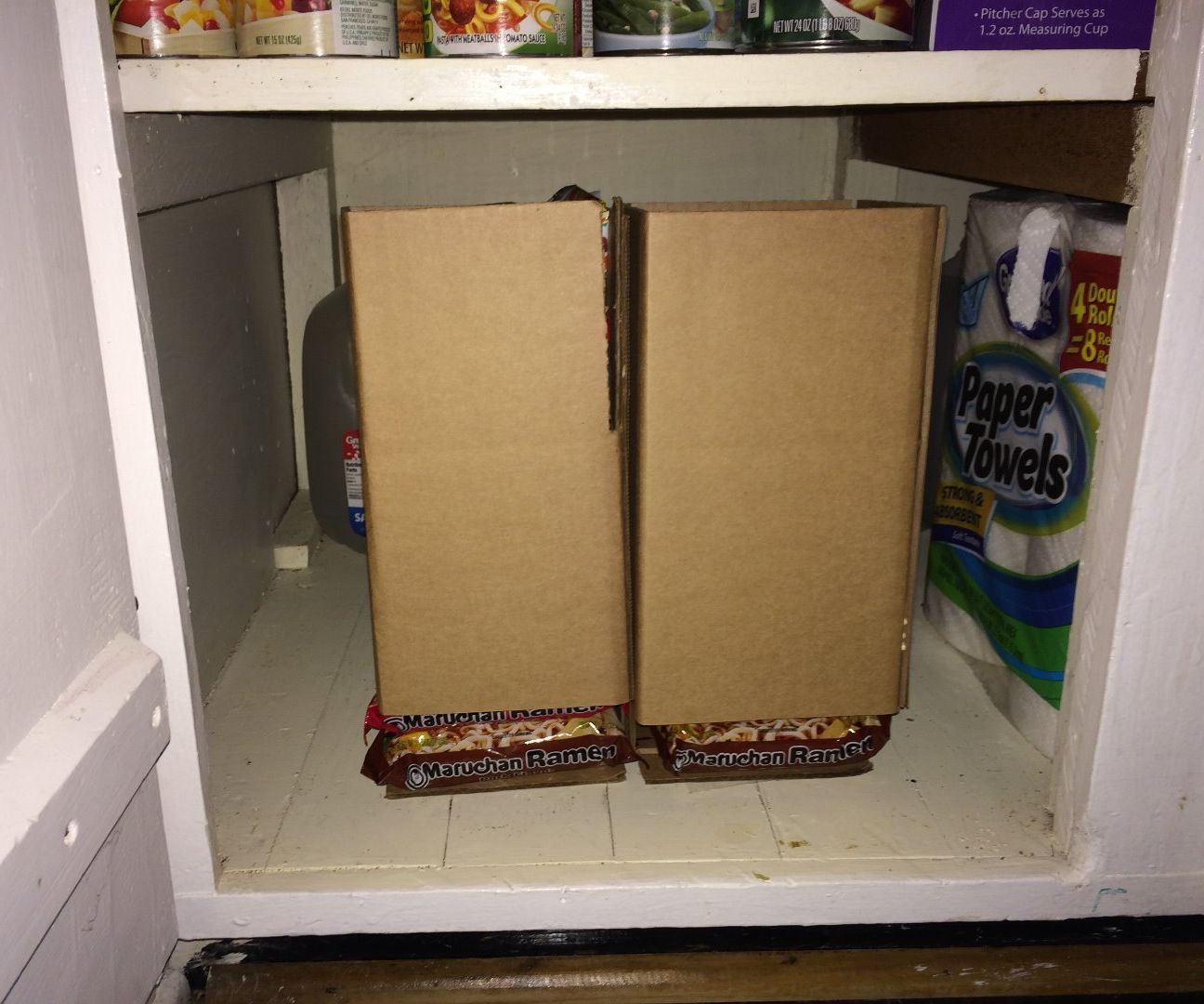 Ramen FIFO organizer / dispenser
