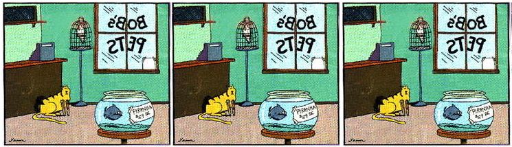 A Universal Format for StereoGraphic Images?