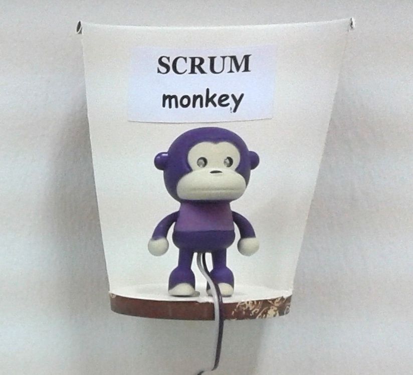 SCRUM monkey