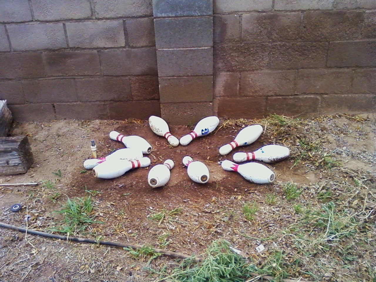 How to Build a Raised Garden With USED BOWLING PINS. You've Never Seen This Before!