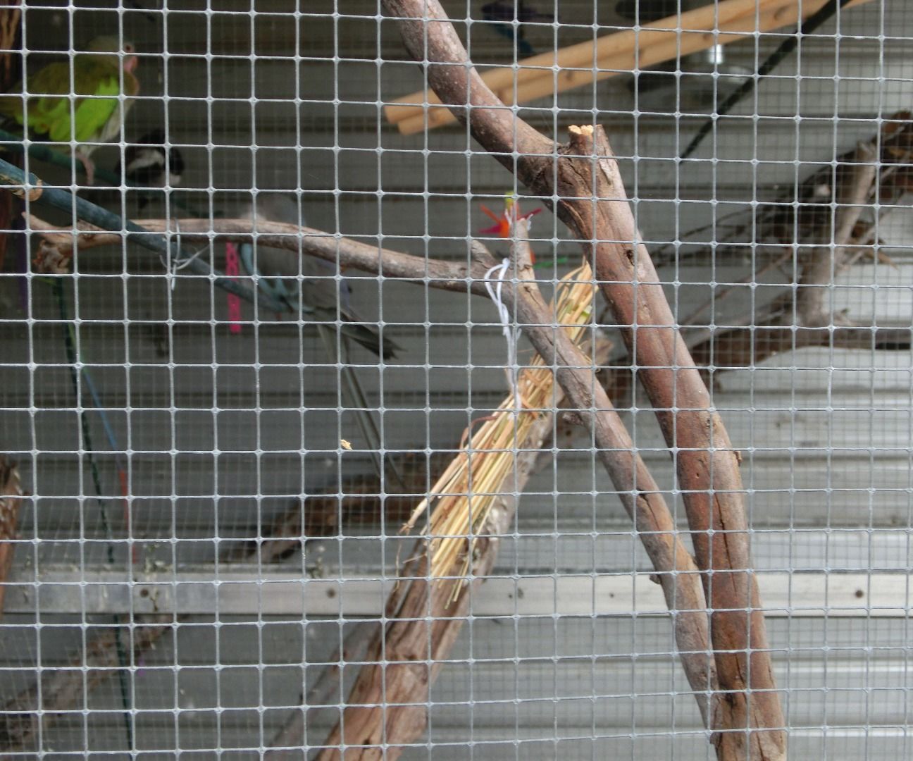 How to Make a Toy That Your Birds Will Use for Their Nest