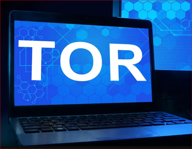 Tor Setup on Brainy Pi