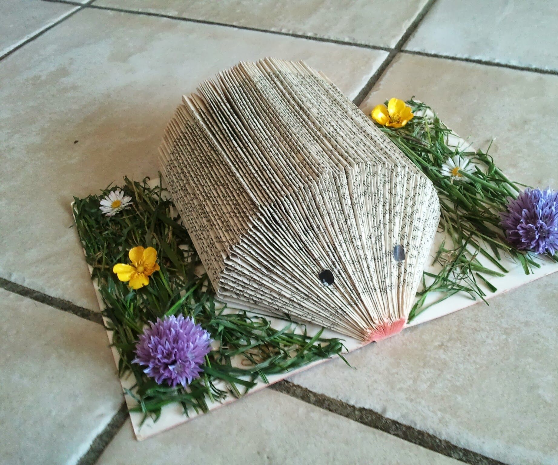 Make a Hedgehog With a Book