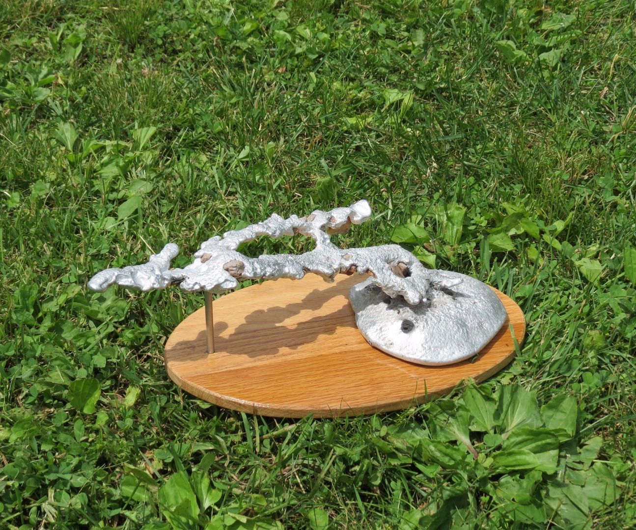 Casting an Aluminum Anthill