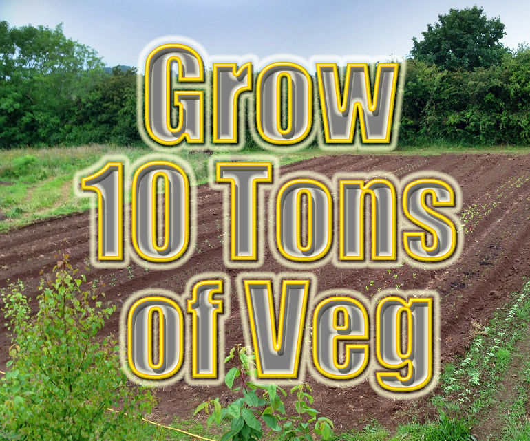 Grow Ten Tons of Organic Vegetables: Leeks, Onions, Potatoes, Broad Beans, Cabbage, Cauliflower, Sweetcorn, Courgettes & Marrows, Sugar Beet, Beetroot, Carrots, Swede, Kale, Calebrese & Broccoli, Brussel Sprouts, Rhubarb & Strawberries