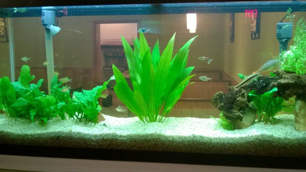 How to Clean a Dirty Fish Tank 12 Steps Instructables