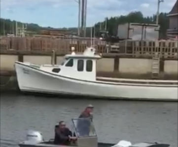 All Aluminum 16' Boat W/50hp