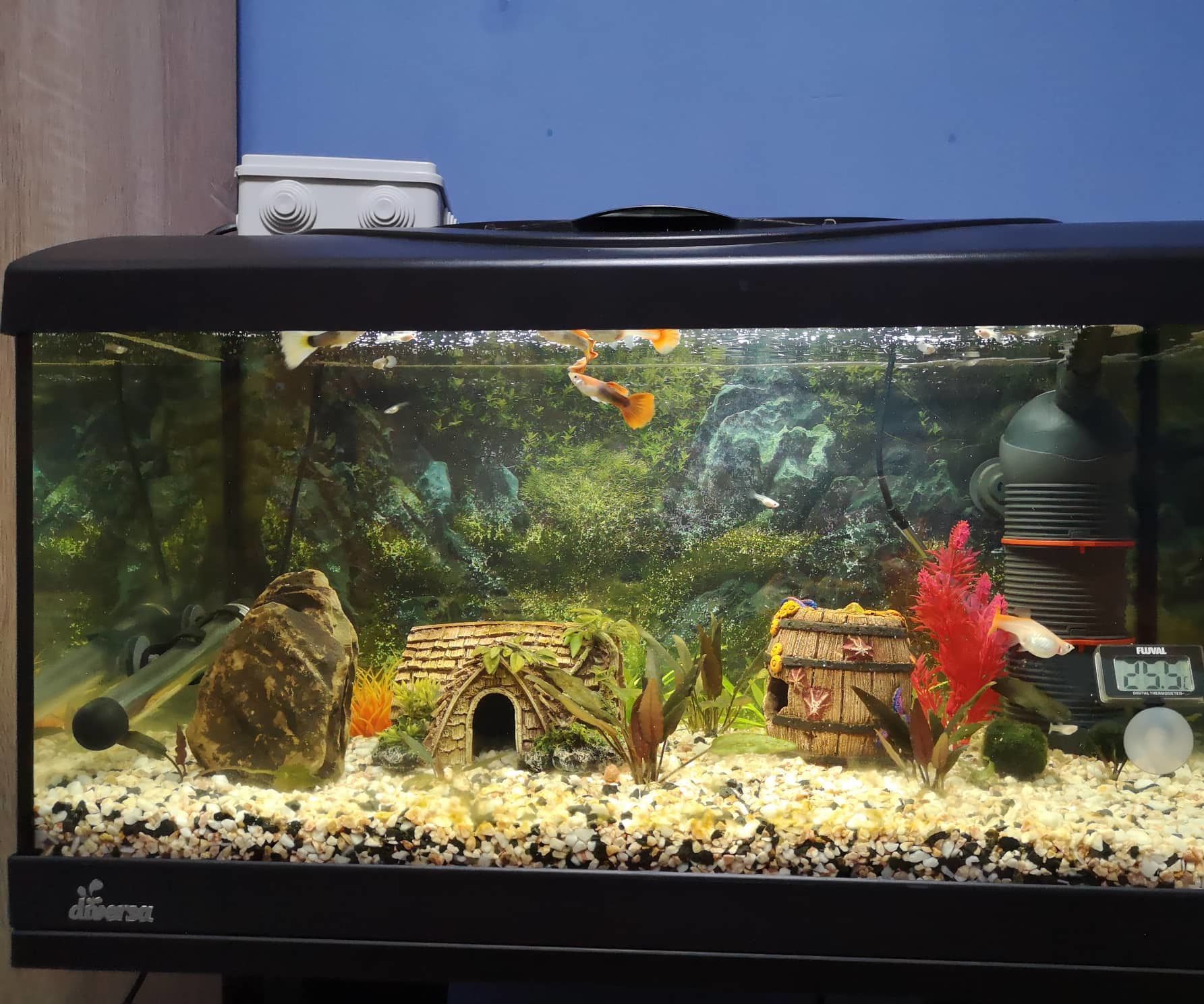 Aquarium Water Cooling System