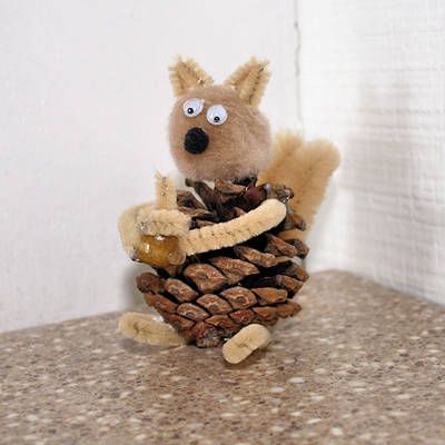 Pine Cone Squirrel