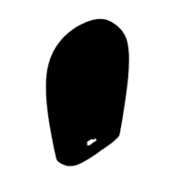 download {{ file.name }}