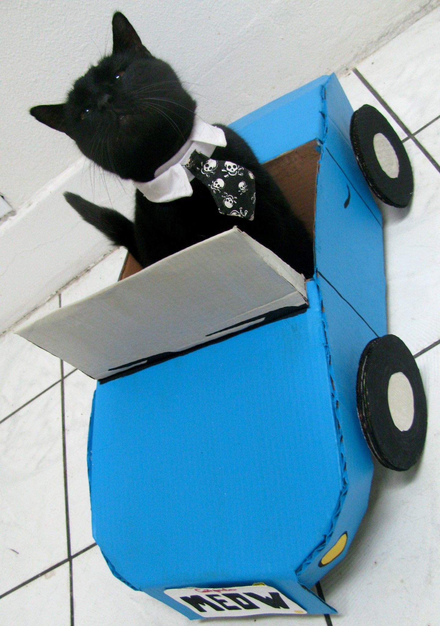 Cardboard Kitty Convertible
