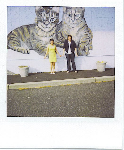 Instructables profile picture for @gina