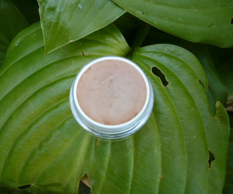 DIY St. John's Wort Healing Salve