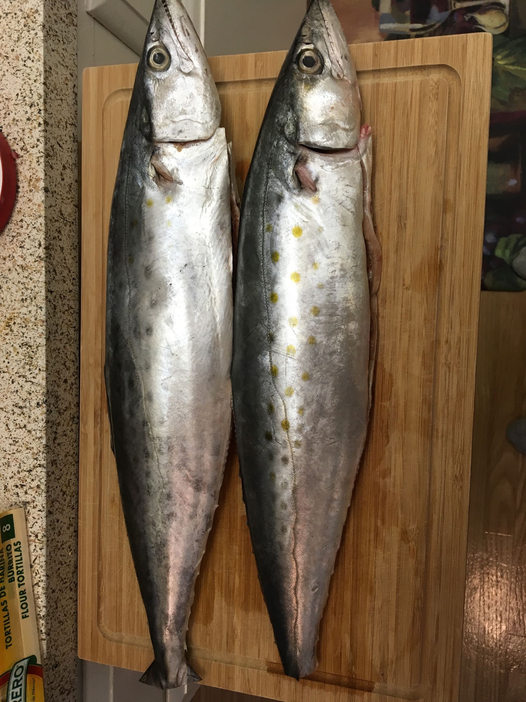 Spanish Mackerel Ceviche/Ceviche De Sierra 4 Steps (with Pictures