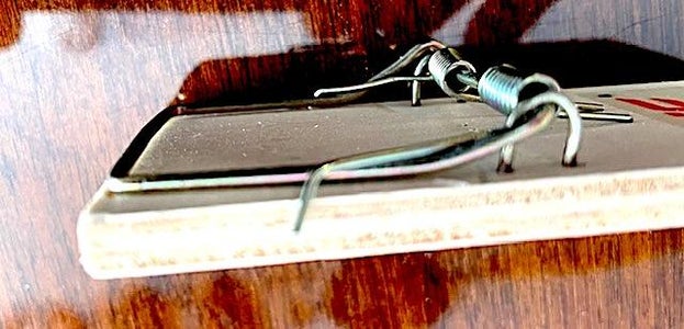 STRIP DOWN/ MODIFY THE TRAP