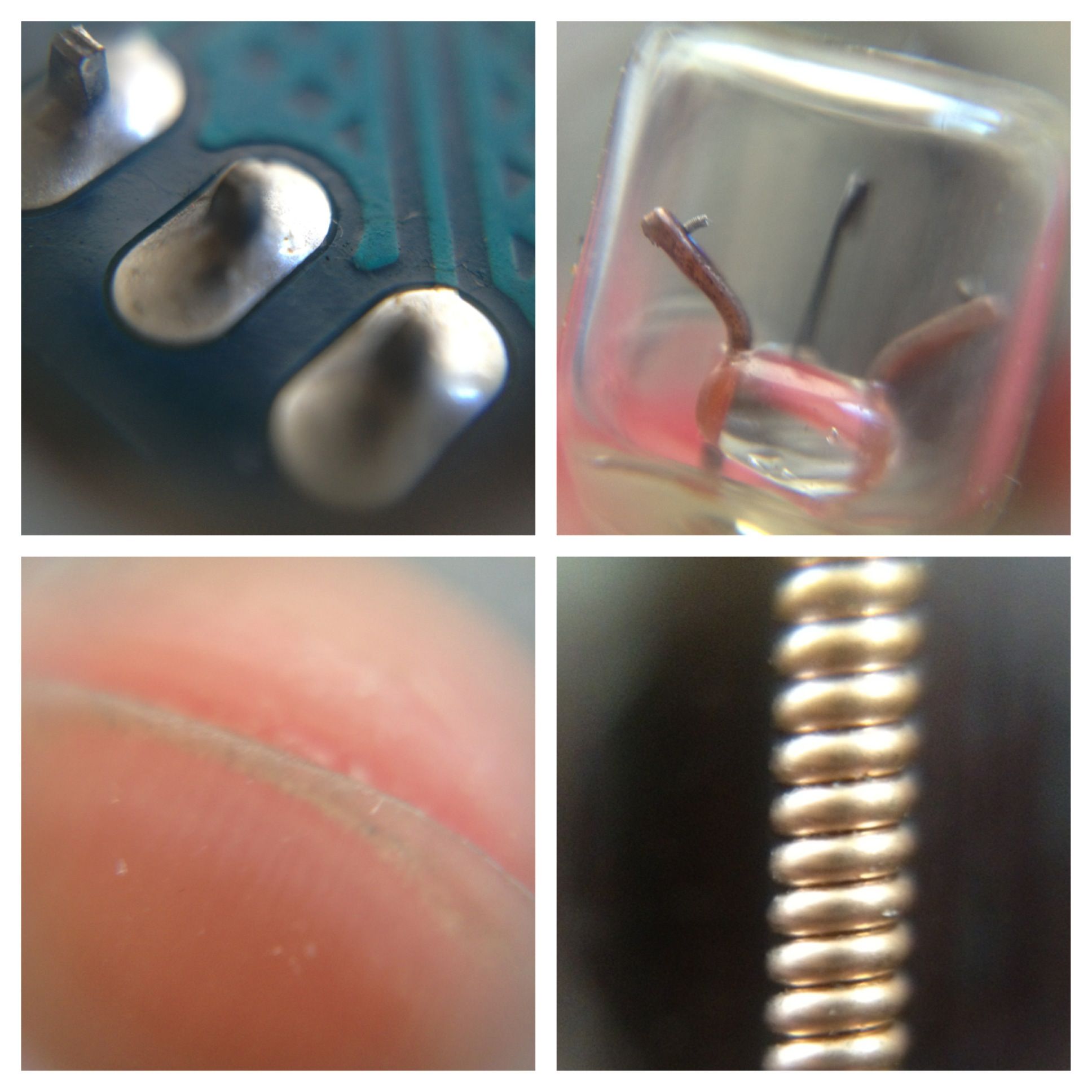 Incredible DIY iPhone Macro