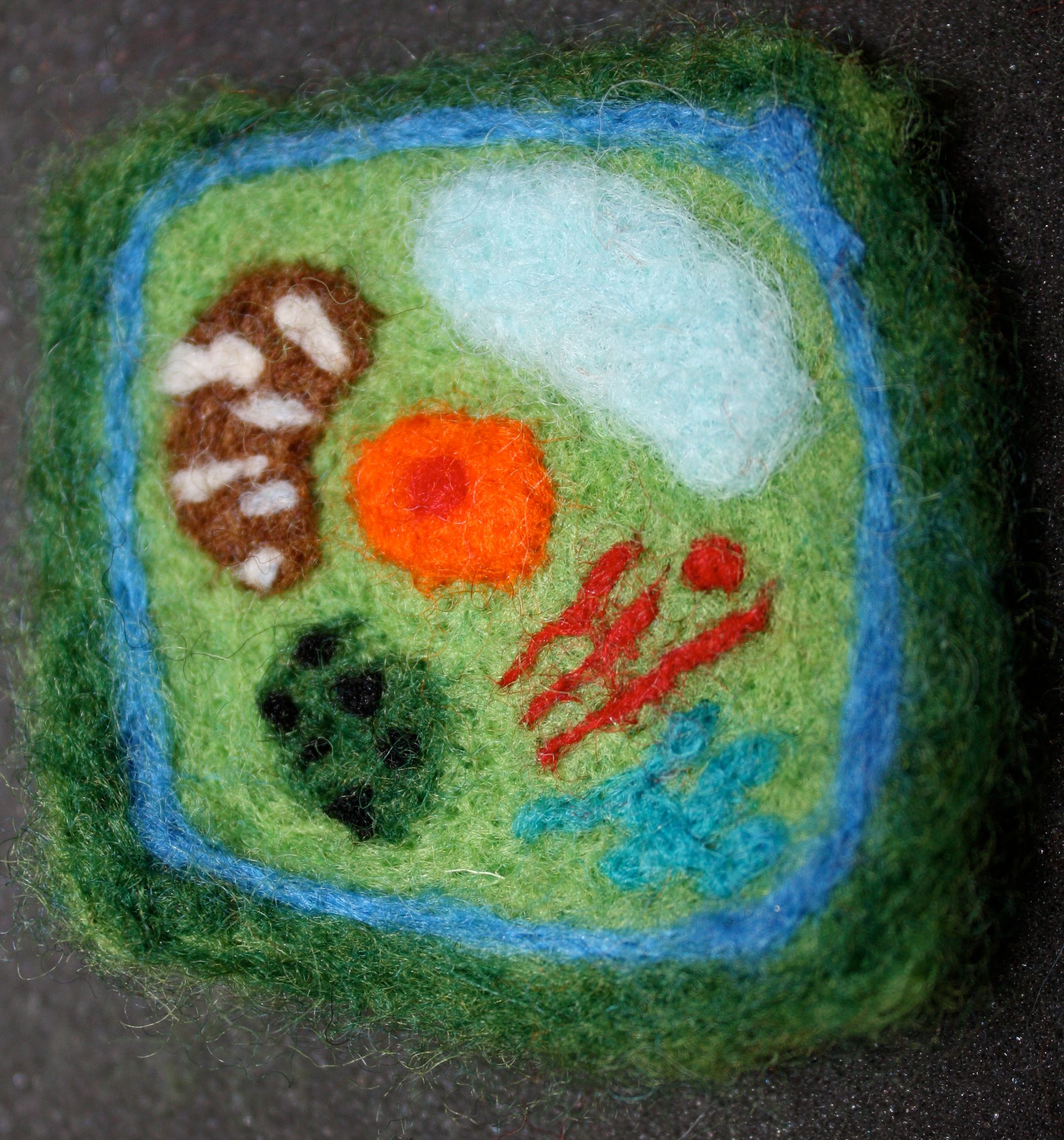 Needle Felted Plant Cell 11 Steps (with Pictures) Instructables