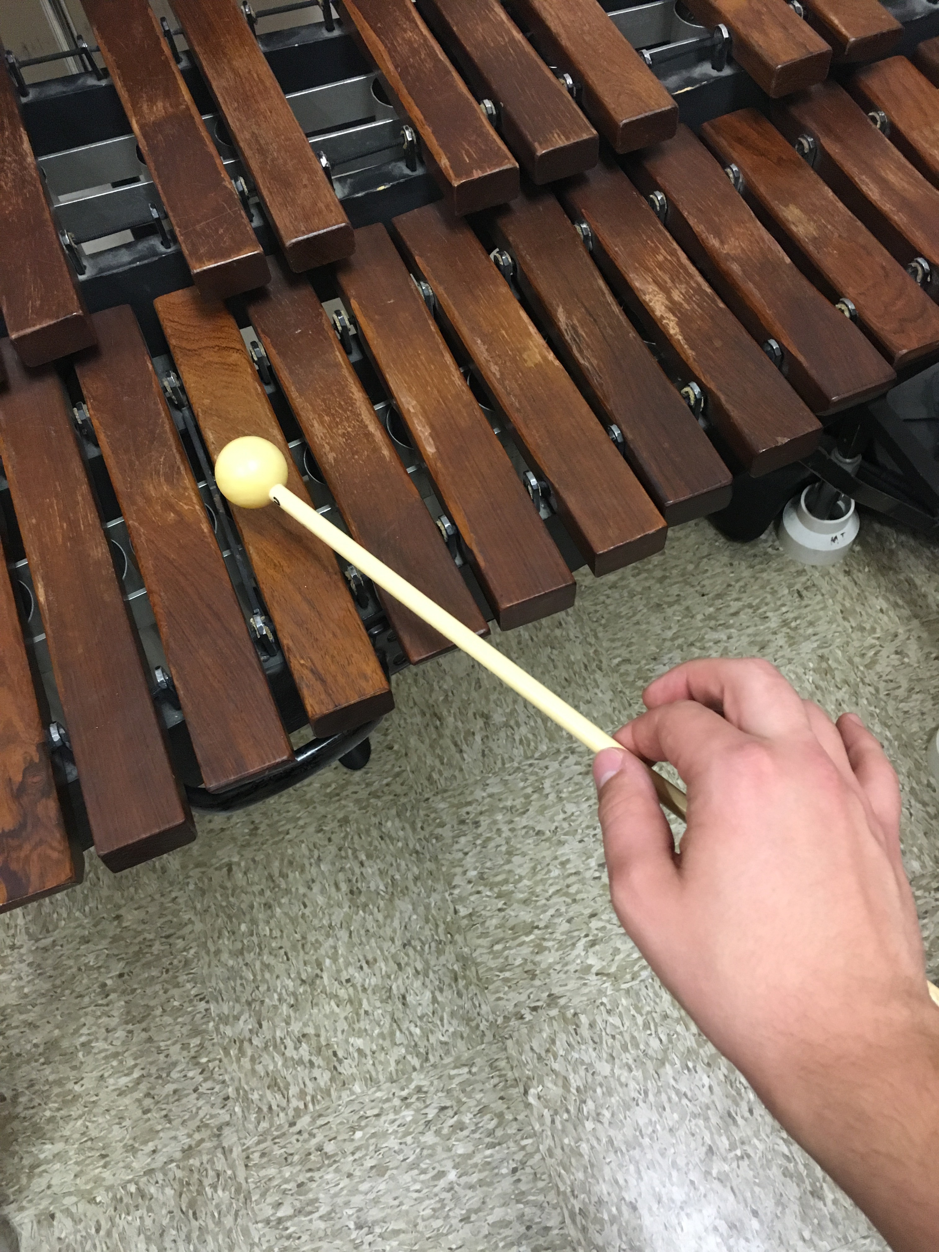 Learning to Play the Xylophone 5 Steps (with Pictures) Instructables