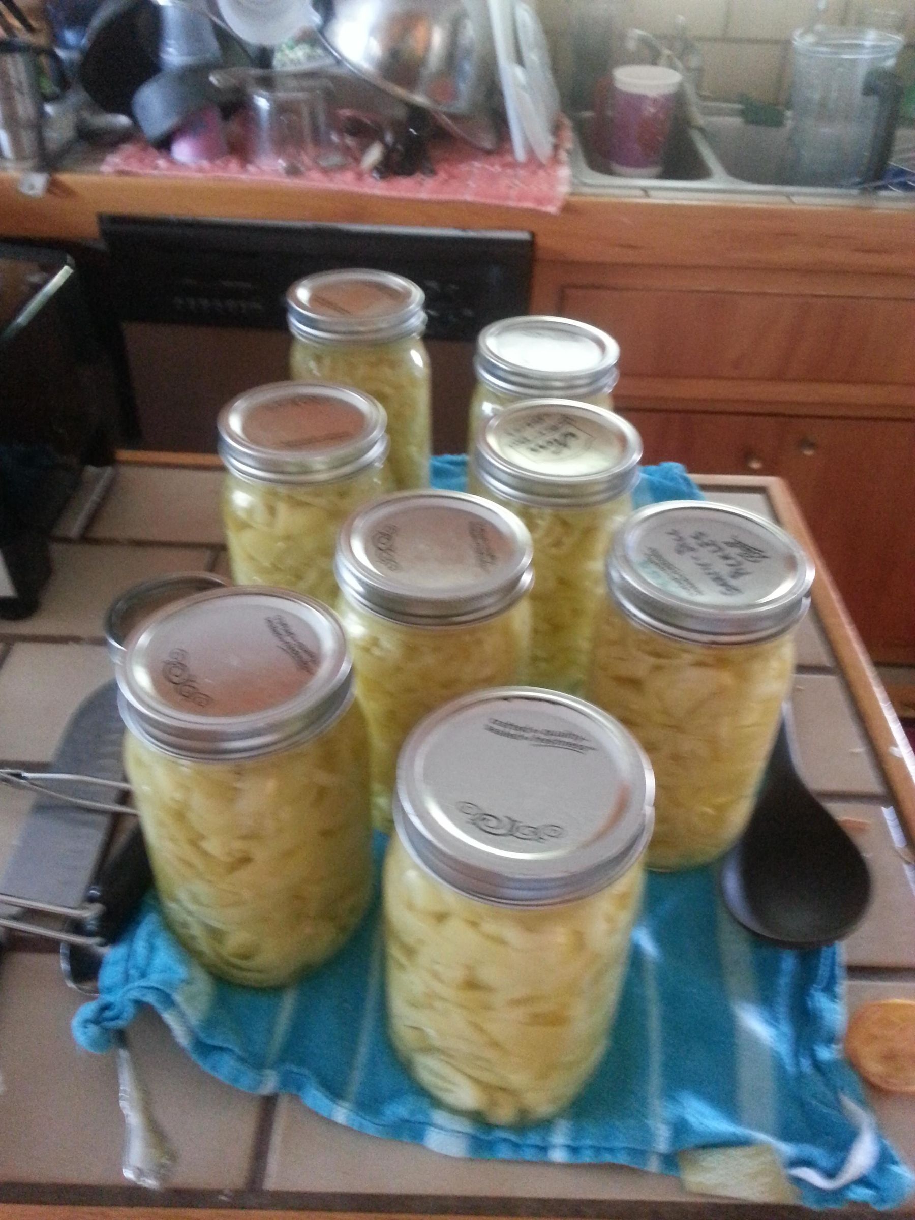 How to Pickle a Peck of Peppers (peperoncini)
