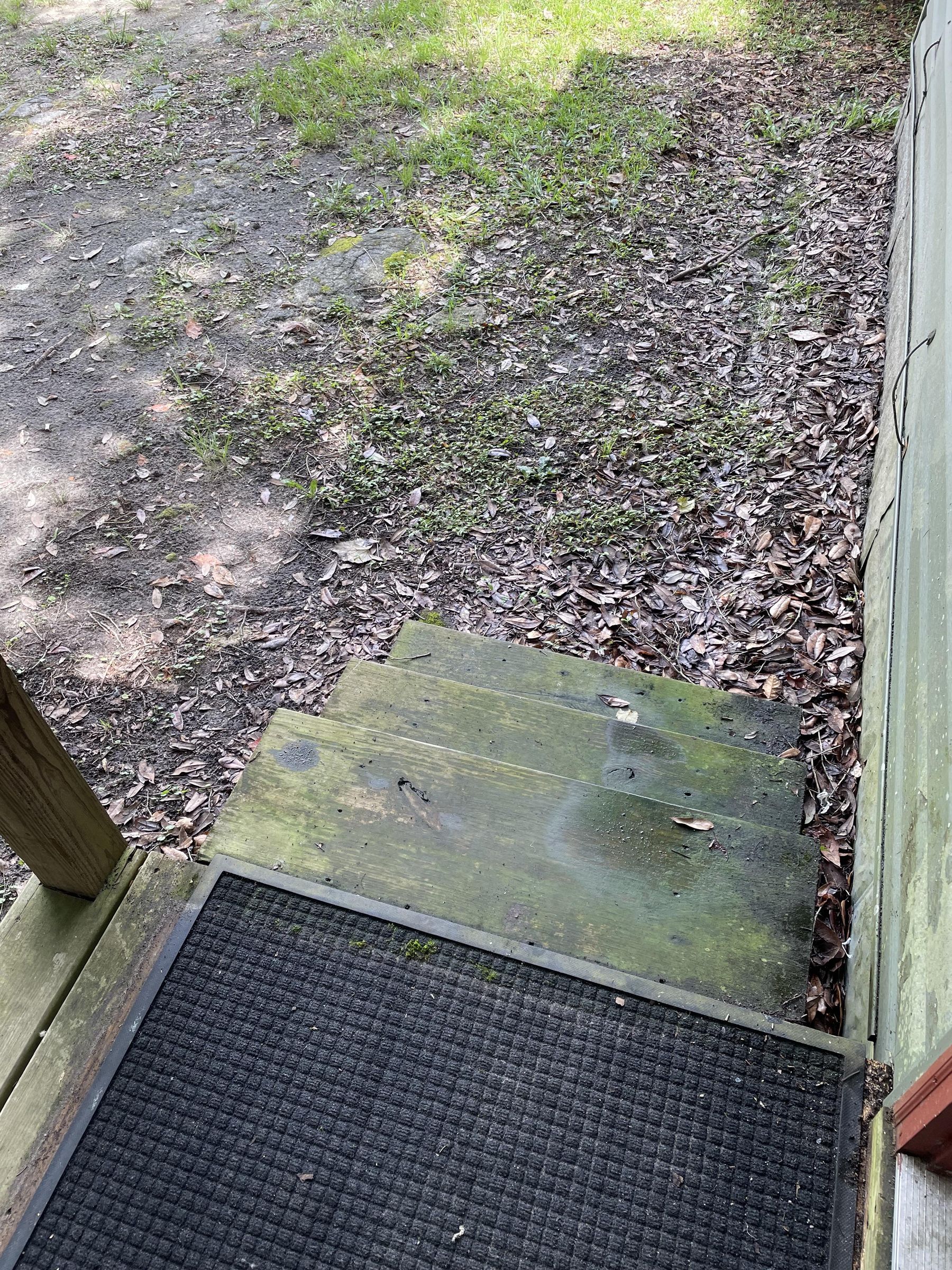 Control Moss With Laundry Detergent 4 Steps Instructables