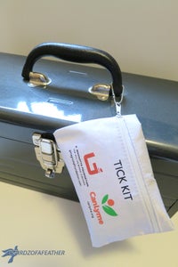 Weekend Getaway: Flea Market Survival Kit / Tick Kit