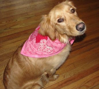 How to Make a Valentine Scarf Bandana for Your Dog or Puppy