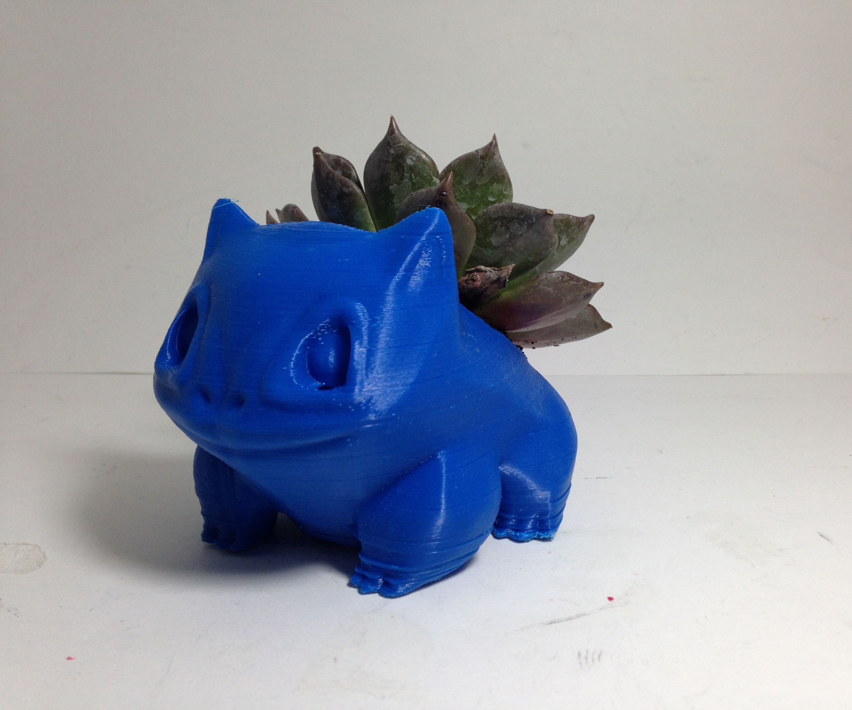 Bulbasaur Succulent Planter W/ Free File
