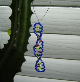 The Double Helix -Glass Bead DNA Model V2.0 : 6 Steps (with Pictures ...