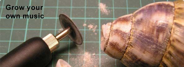 Grow Your Own Musical Instrument - an Environmentally-sustainable Conch-substitute.
