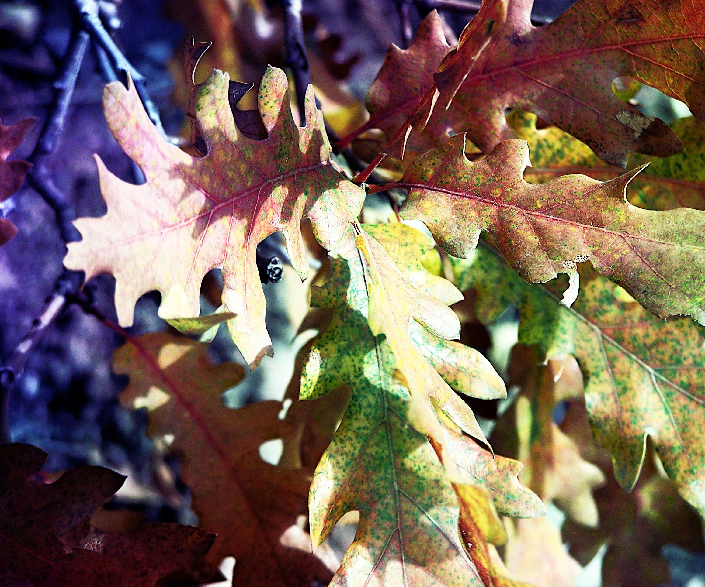 Fun Colorful Photos
