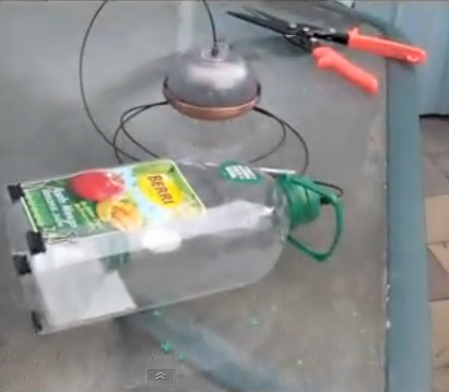 Solar Powered Bug and Bait Trap