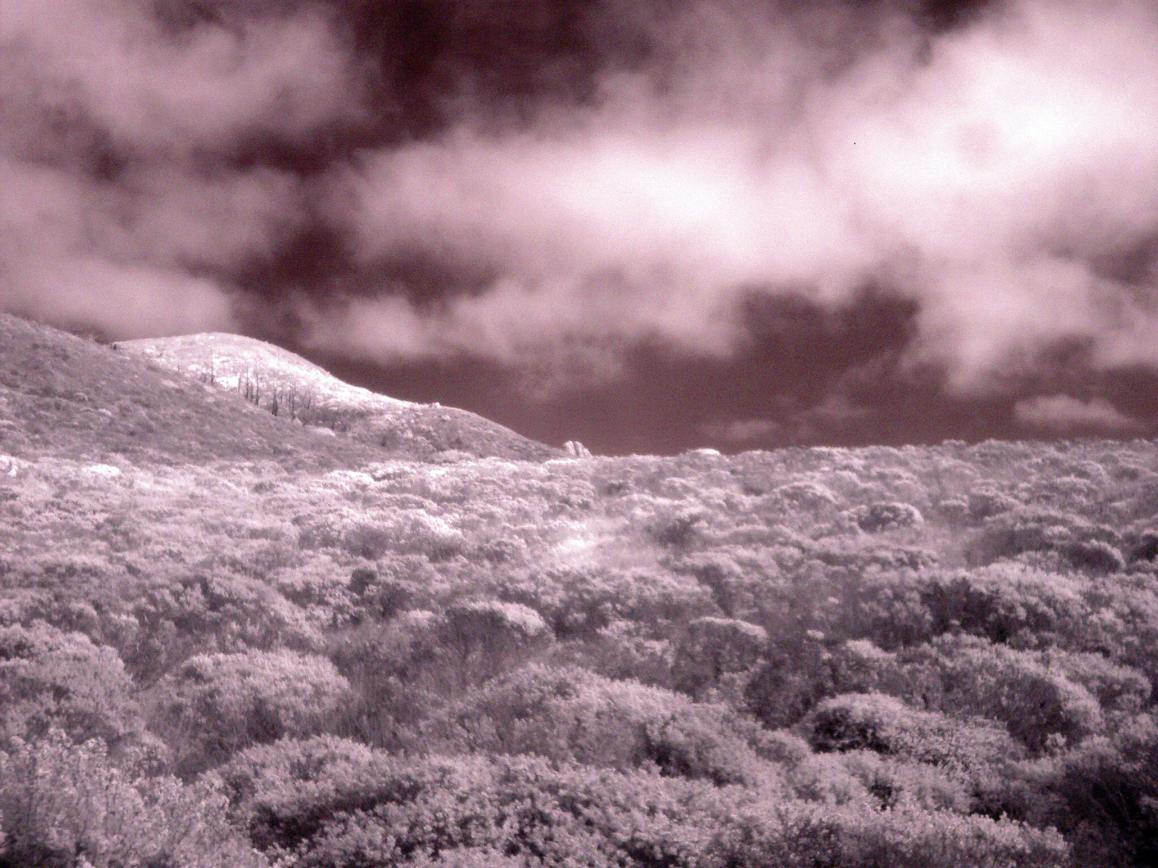 infrared digital camera - the real way