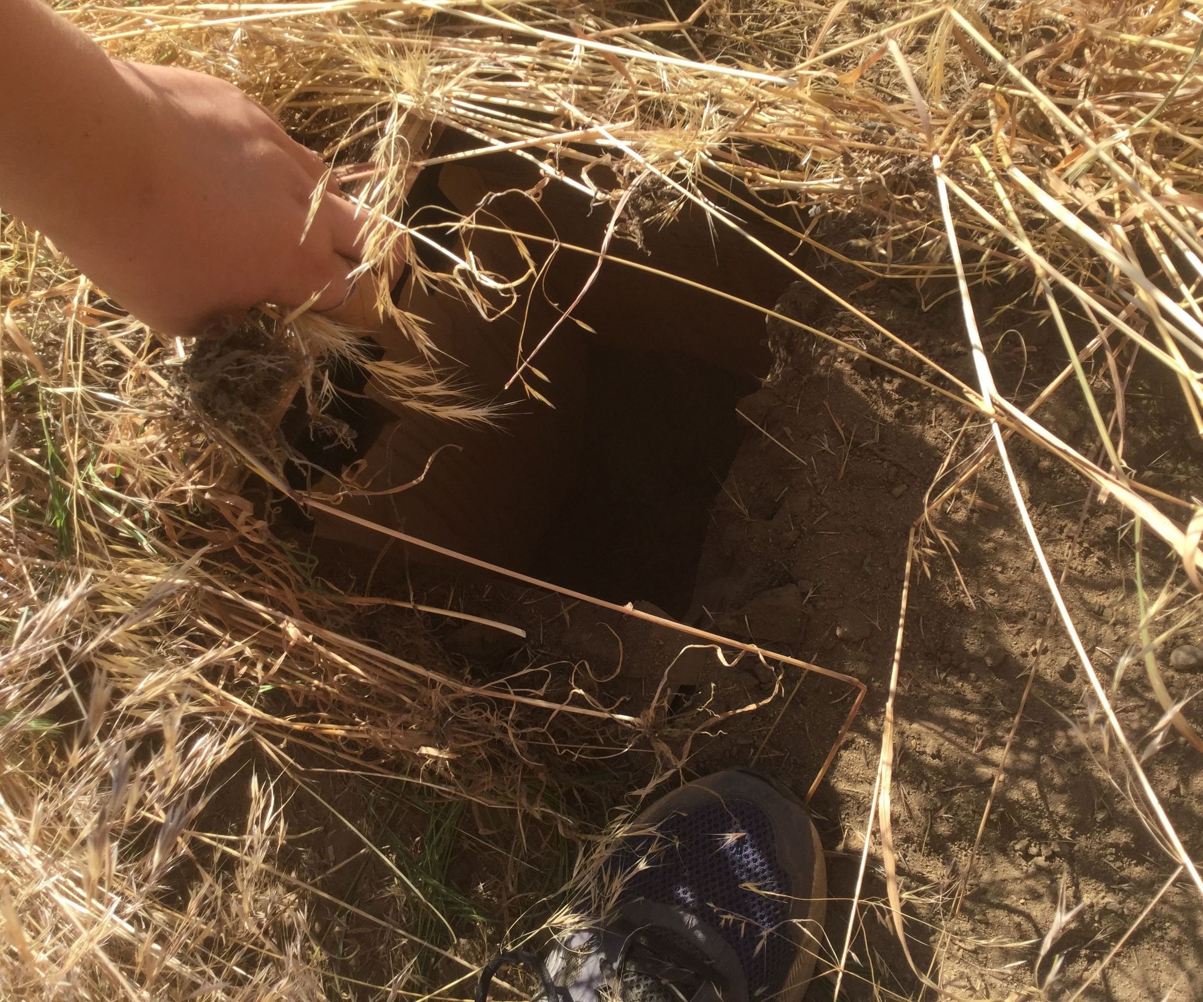 Secret Underground Box
