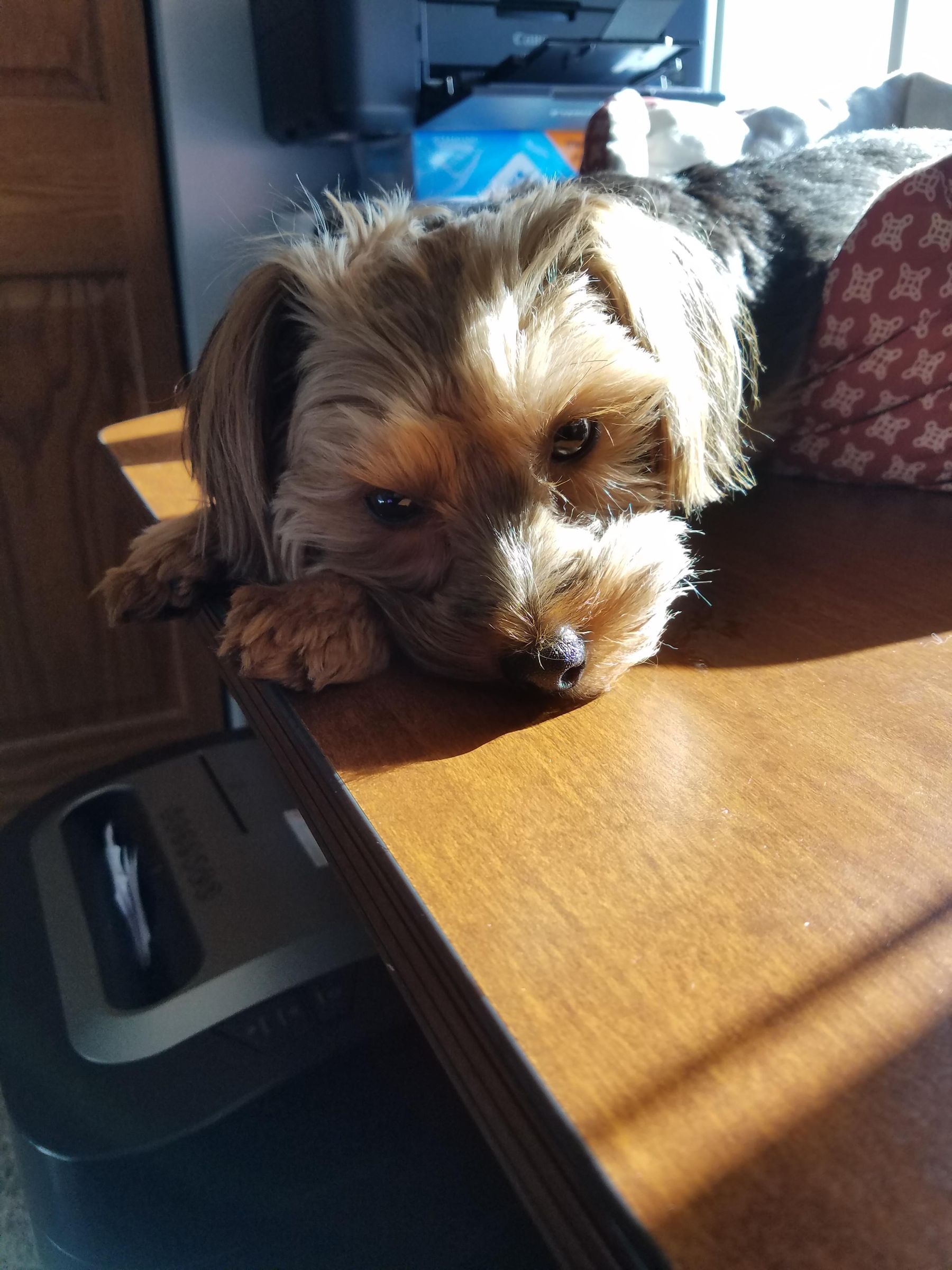 author