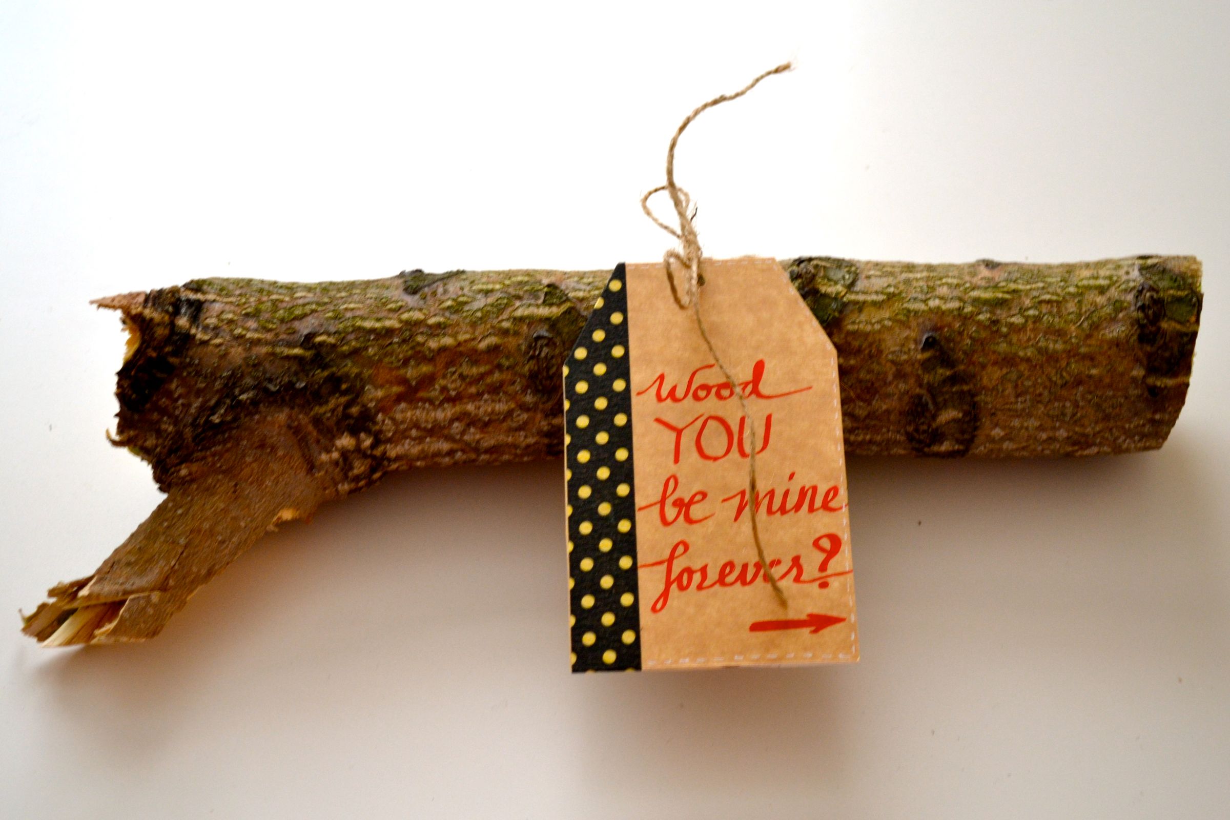 Wood YOU Be Mine?