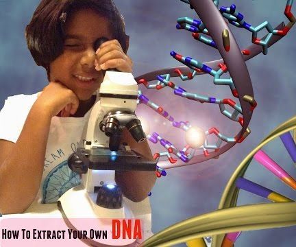 How to extract your own DNA at home