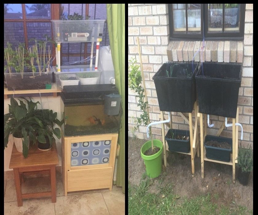 Make Your Garden Forgettable