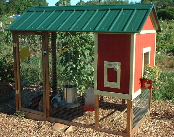 Collection Cover Image: Guide to Chicken Coops