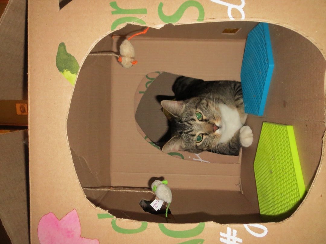 Things to Keep in Mind 