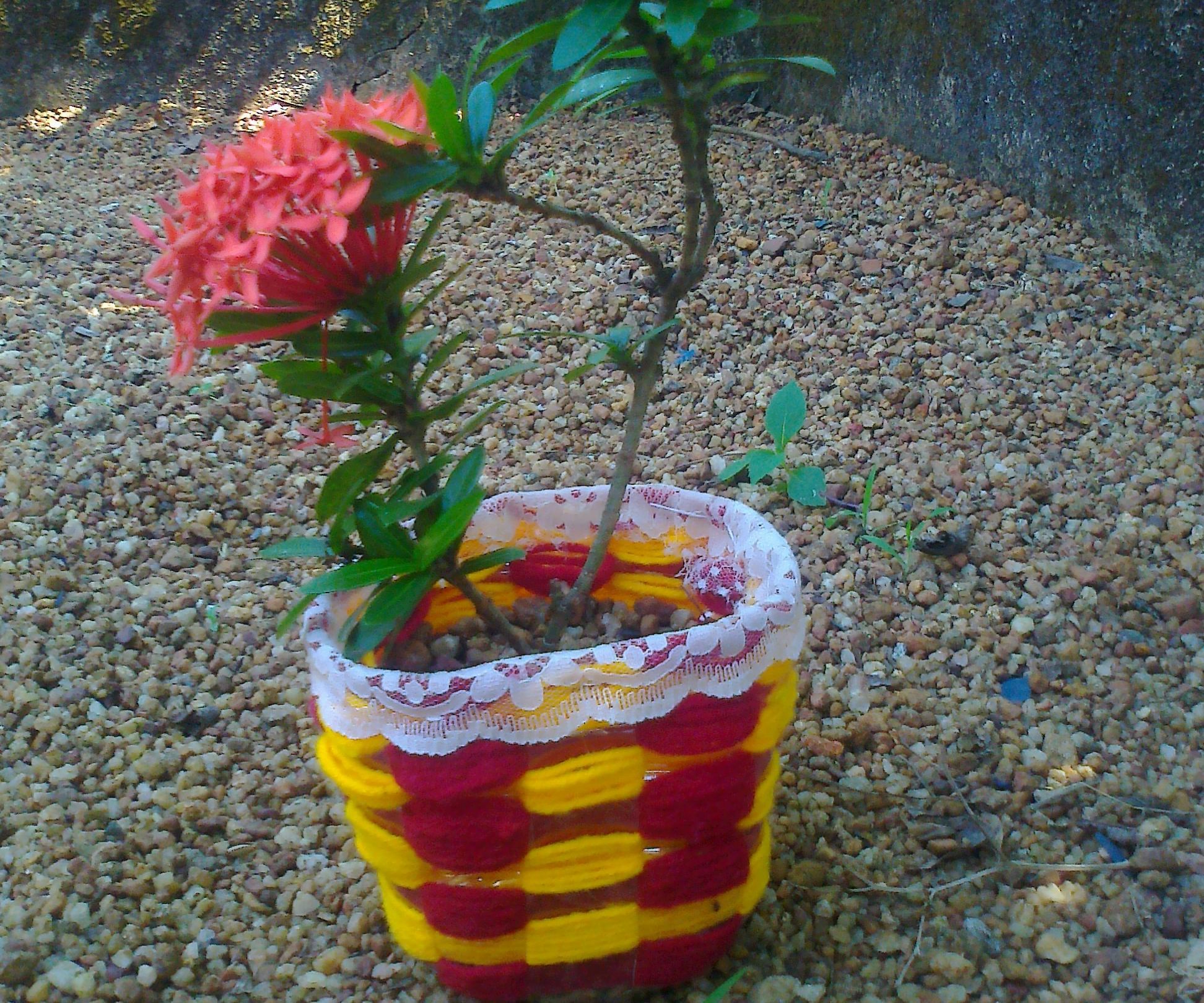 Attractive flower pot