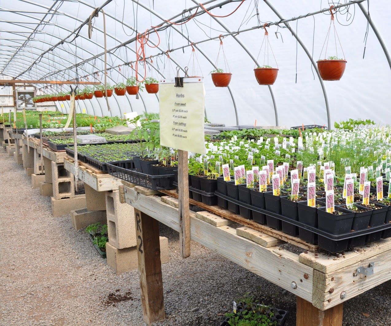Best Hydroponics Provider in Carbondale