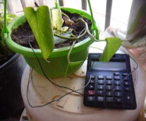 Plant Powered Calculator