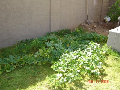 Location, Location, Location